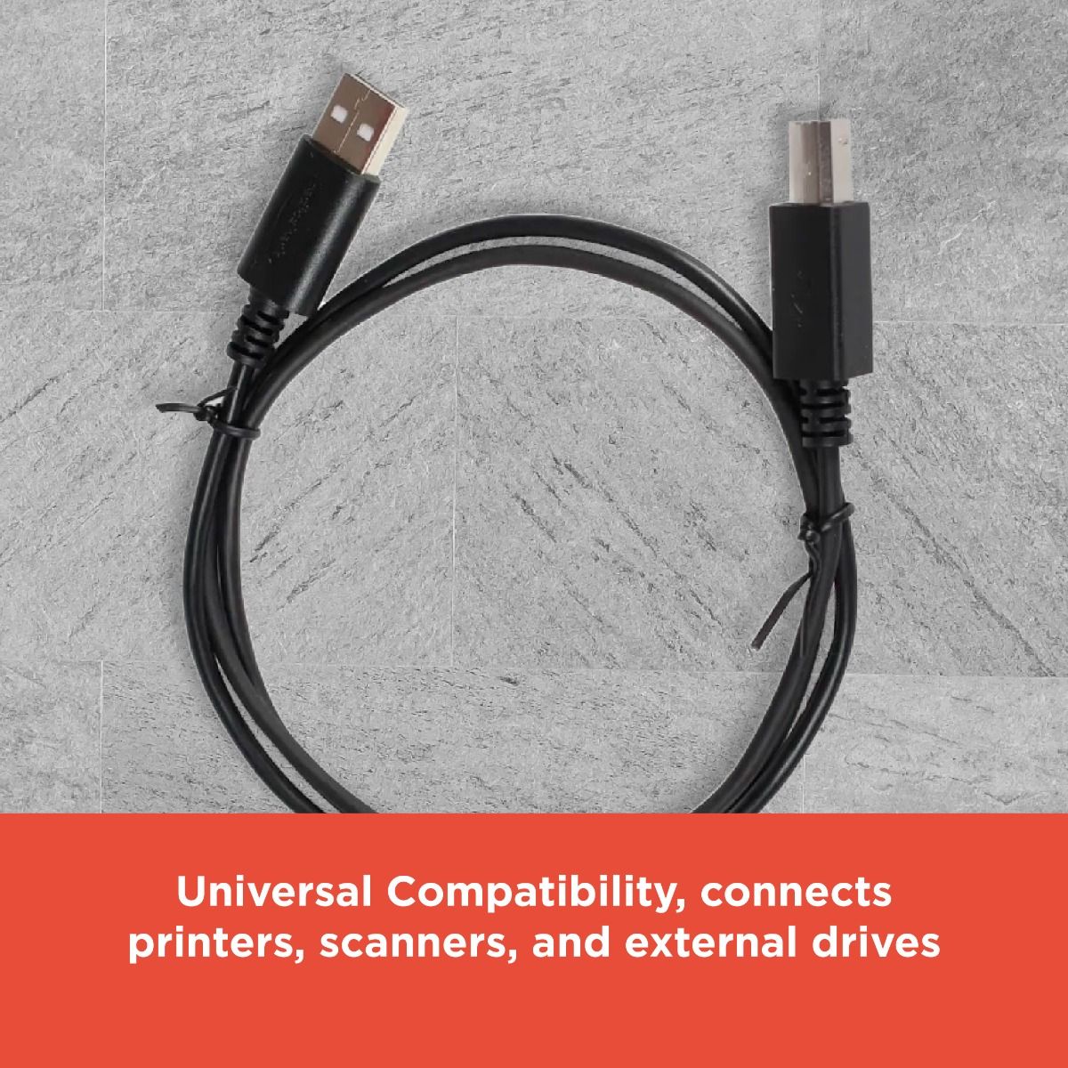 RadioShack USB 2.0 Male A to Male B Cable 2605039 6 Feet